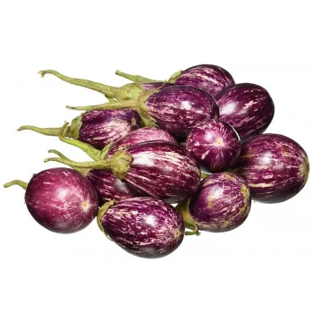 Organic Brinjal 